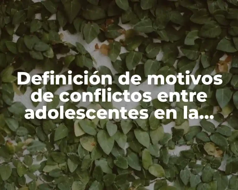 Definición de motivos de conflictos entre adolescentes en la escuela