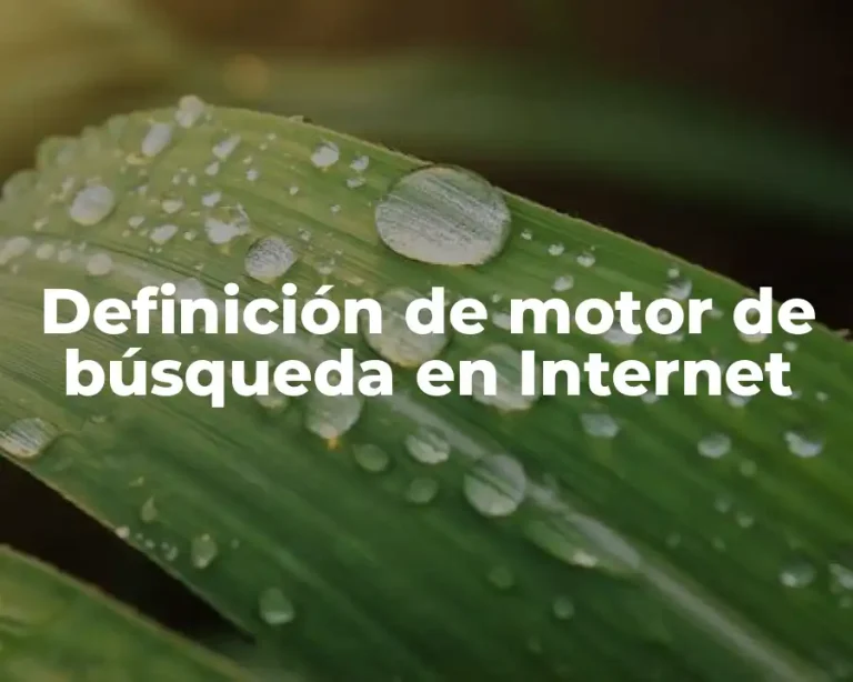 Definición de motor de búsqueda en Internet