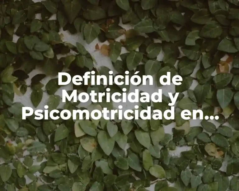 Definición de Motricidad y Psicomotricidad en Fisica