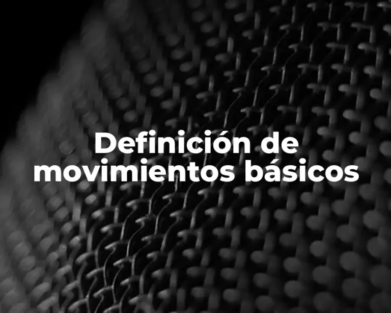 Definición de movimientos básicos