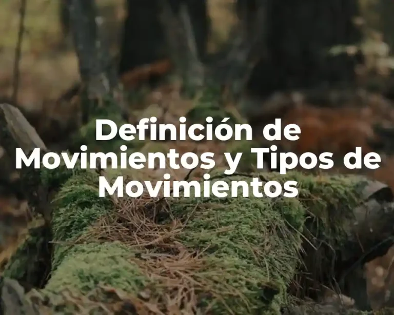 Definición de Movimientos y Tipos de Movimientos