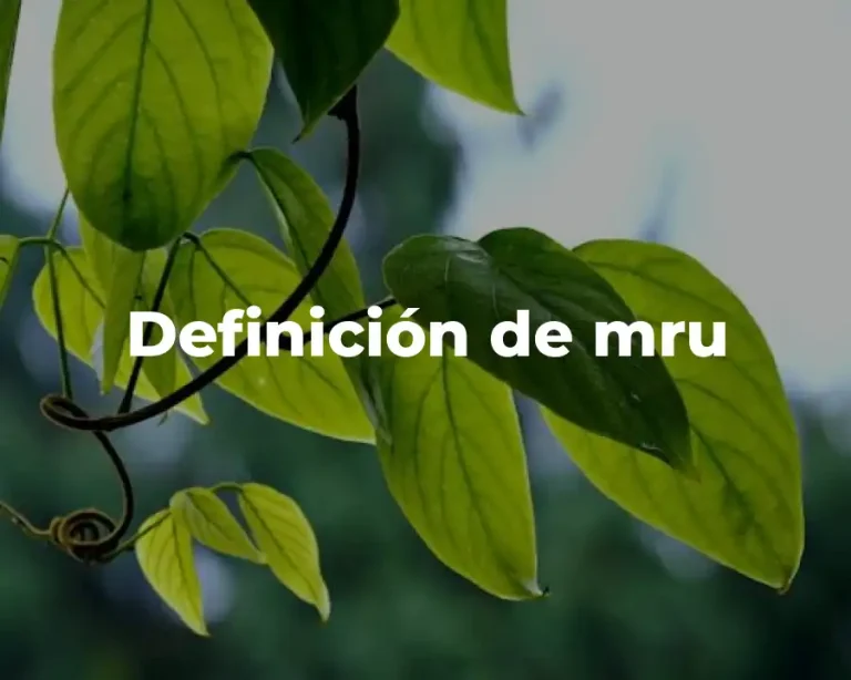 Definición de mru