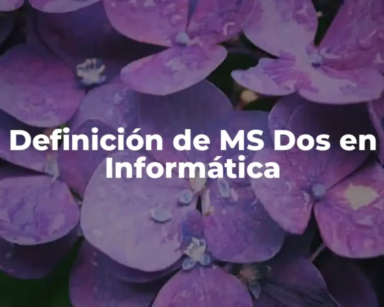 Definición de MS Dos en Informática