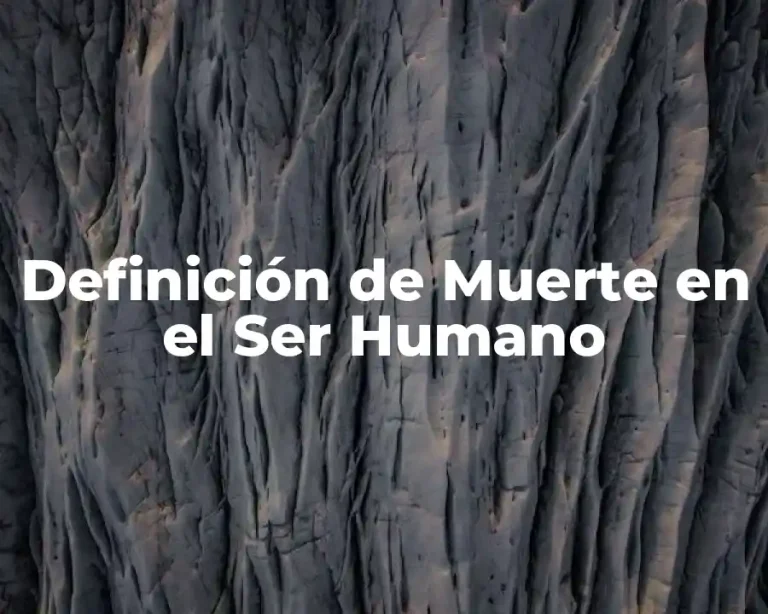 Definición de Muerte en el Ser Humano