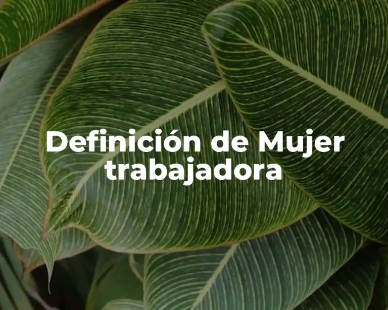 Definición de Mujer trabajadora