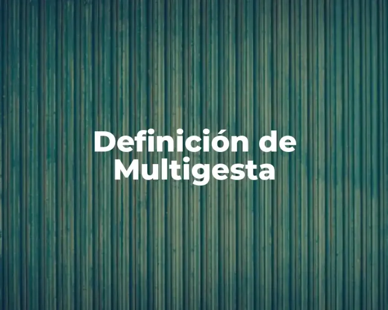 Definición de Multigesta