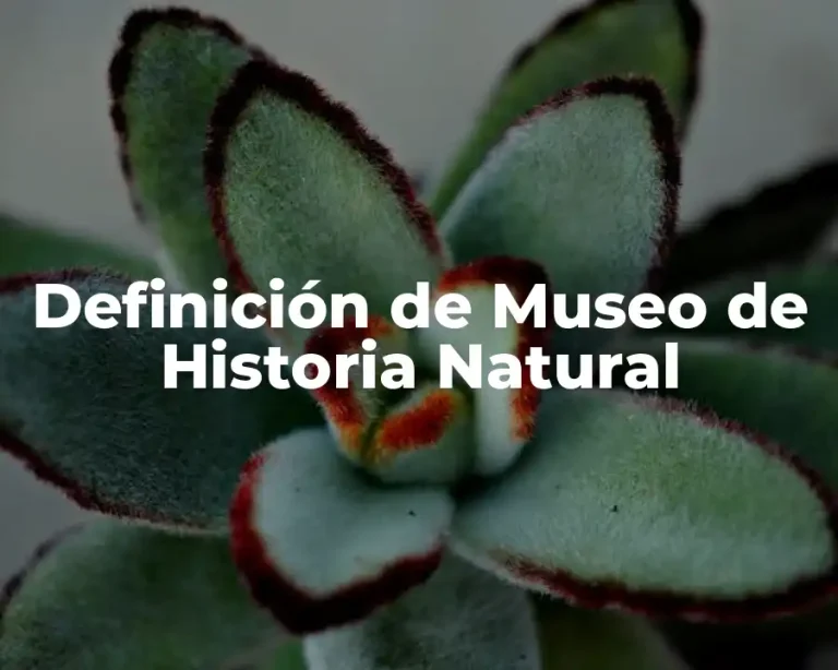Definición de Museo de Historia Natural