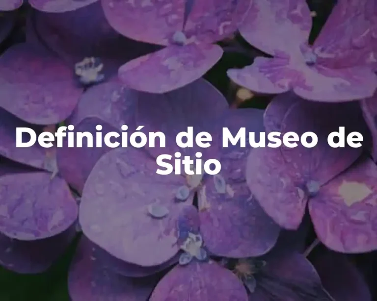 Definición de Museo de Sitio