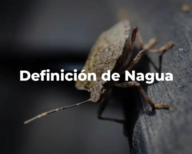 Definición de Nagua