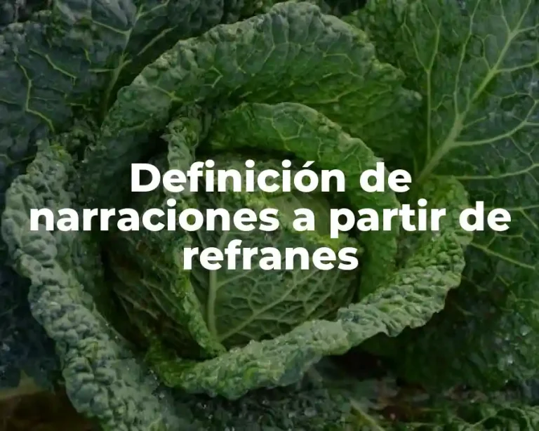 Definición de narraciones a partir de refranes