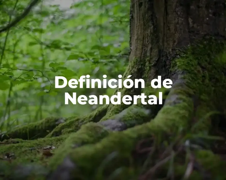 Definición de Neandertal