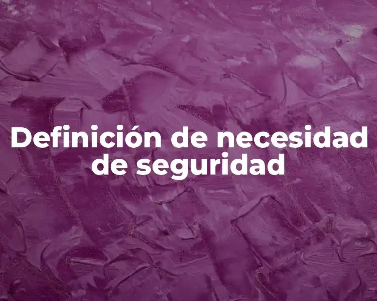 Definición de necesidad de seguridad