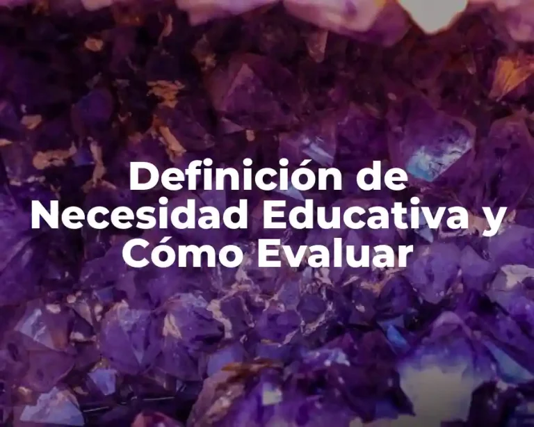 Definición de Necesidad Educativa y Cómo Evaluar