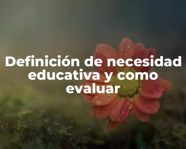 Definición de necesidad educativa y como evaluar