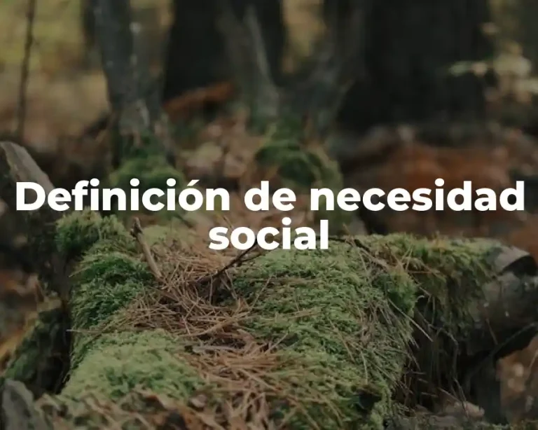 Definición de necesidad social