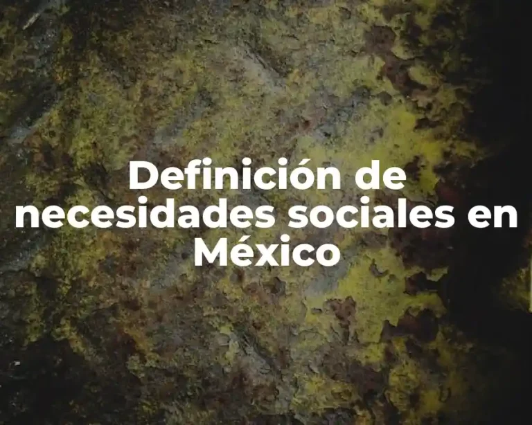 Definición de necesidades sociales en México