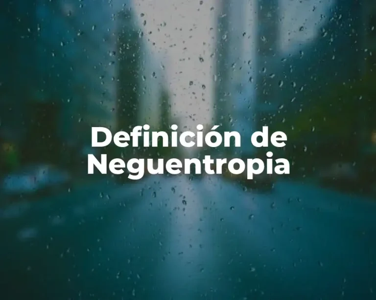 Definición de Neguentropia