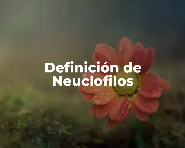 Definición de Neuclofilos