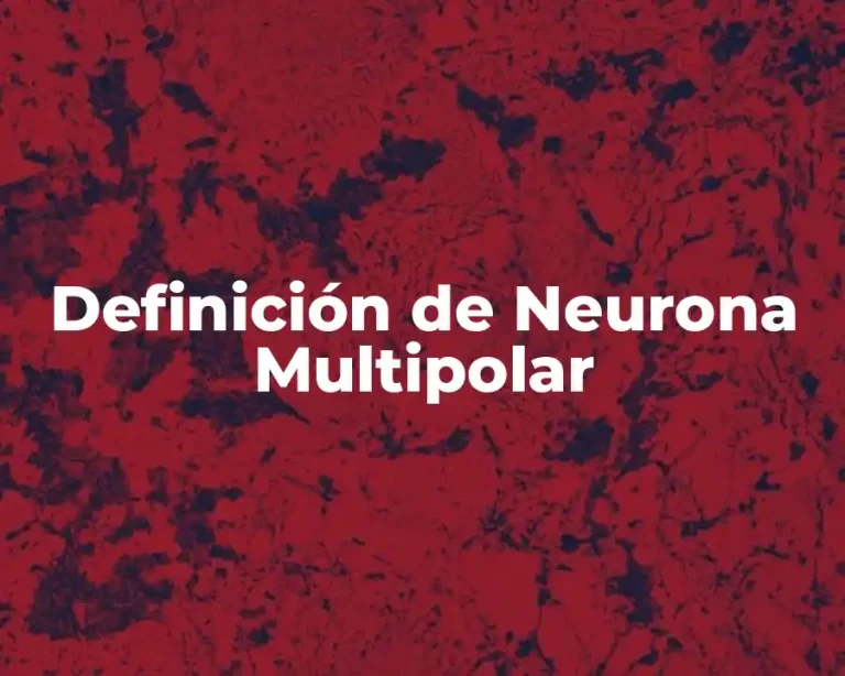 Definición de Neurona Multipolar