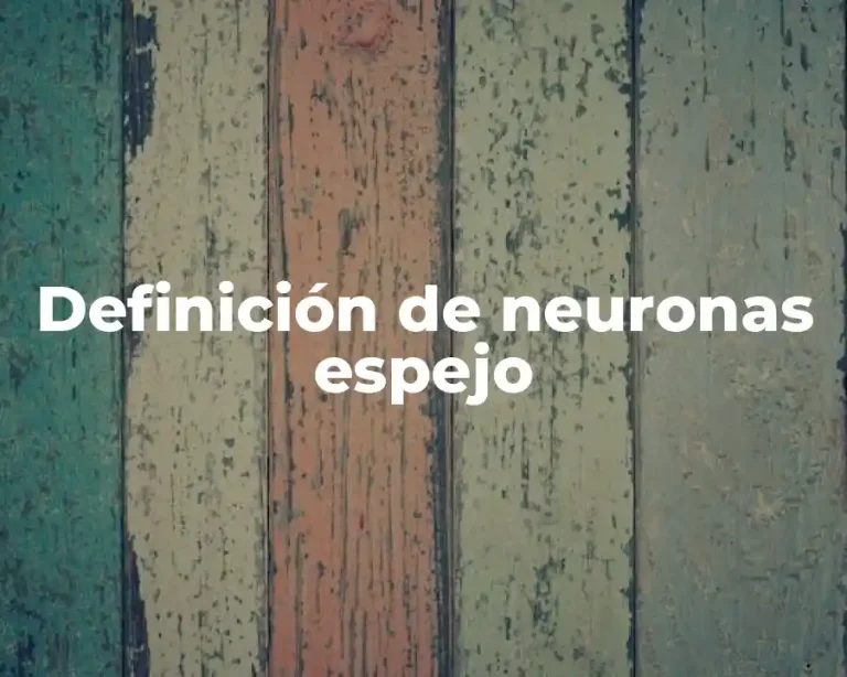 Definición de neuronas espejo
