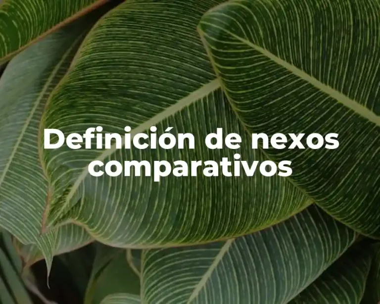 Definición de nexos comparativos