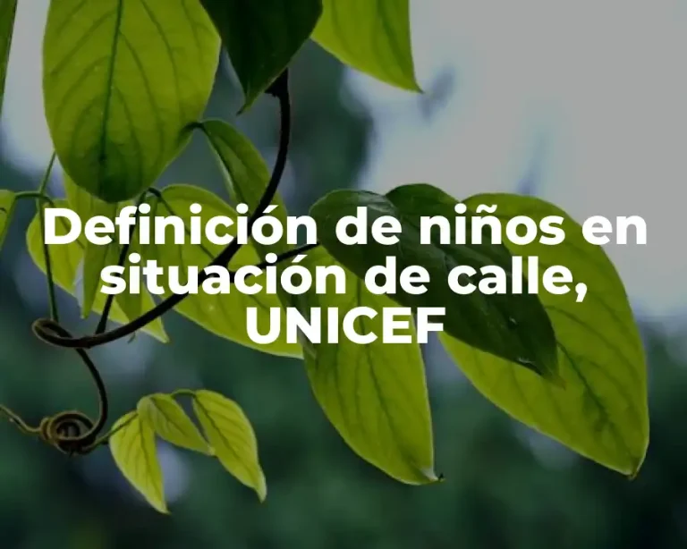 Definición de niños en situación de calle, UNICEF