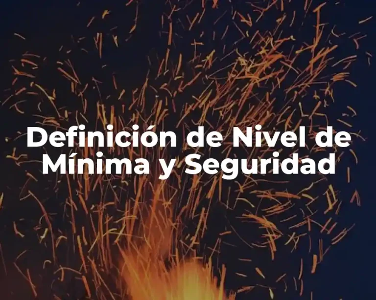 Definición de Nivel de Mínima y Seguridad