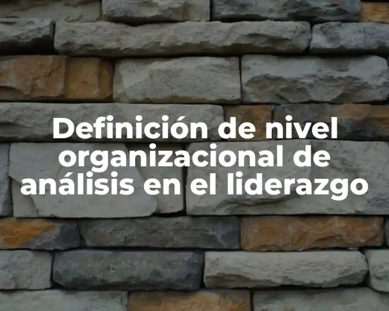 Definición de nivel organizacional de análisis en el liderazgo