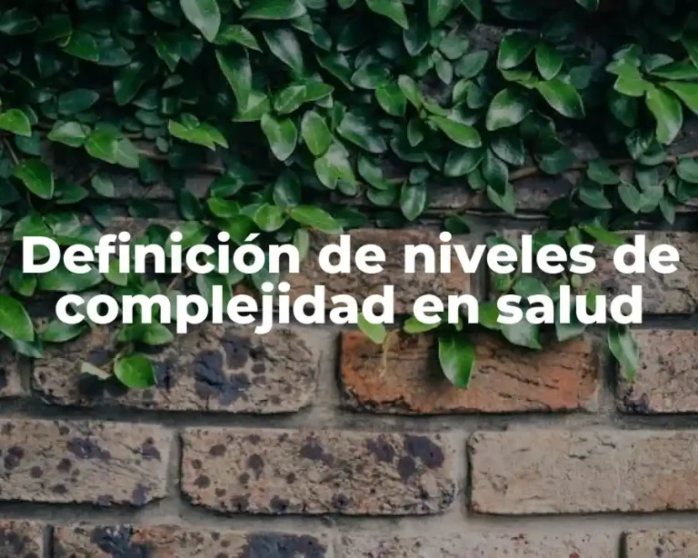 Definición de niveles de complejidad en salud