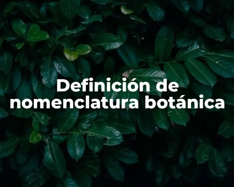 Definición de nomenclatura botánica