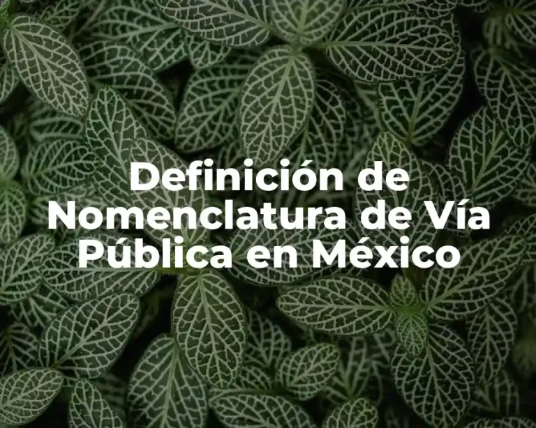 Definición de Nomenclatura de Vía Pública en México