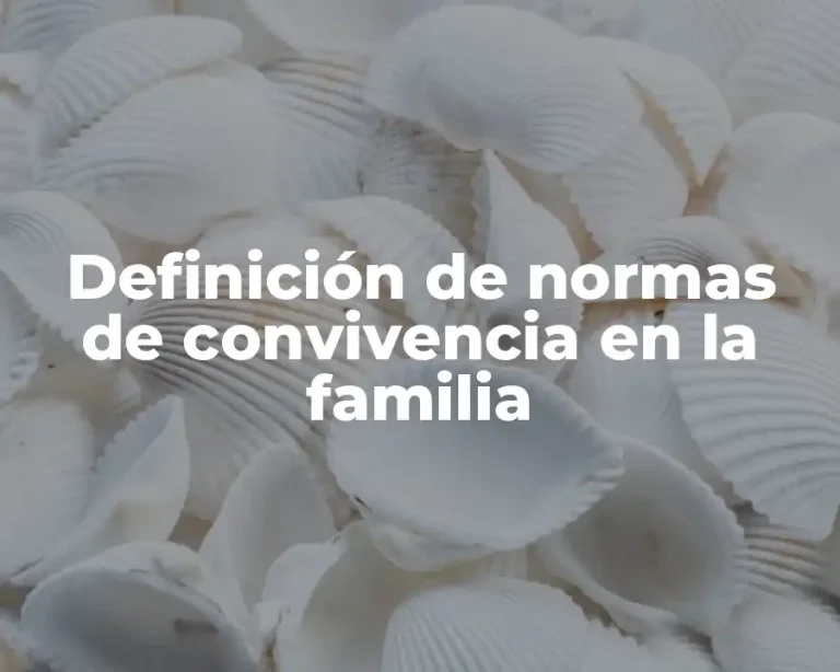 Definición de normas de convivencia en la familia