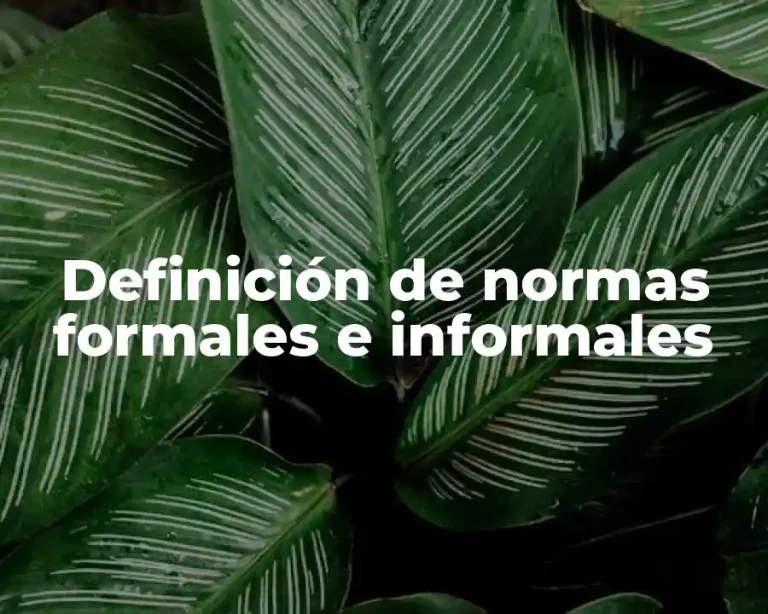 Definición de normas formales e informales