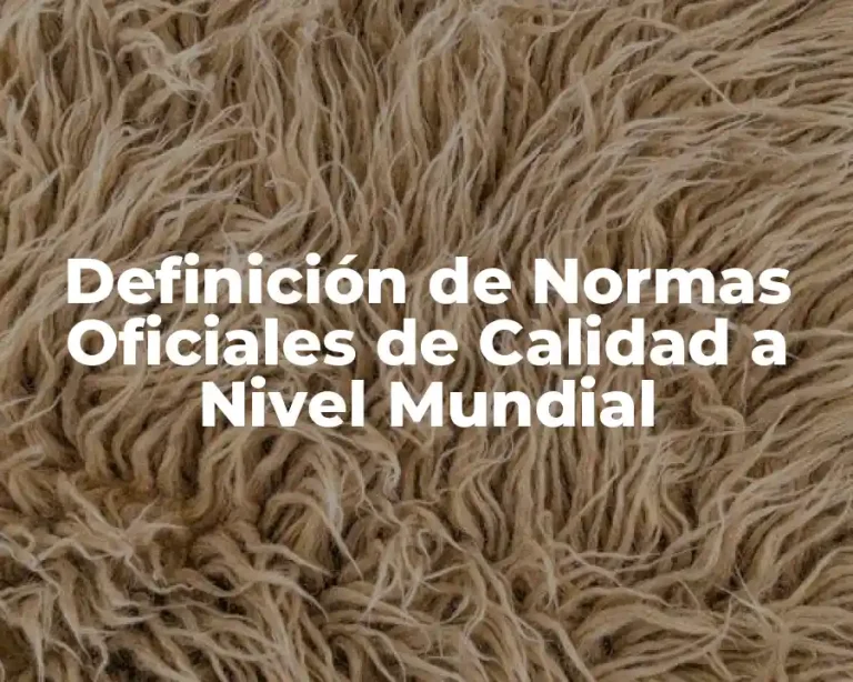 Definición de Normas Oficiales de Calidad a Nivel Mundial