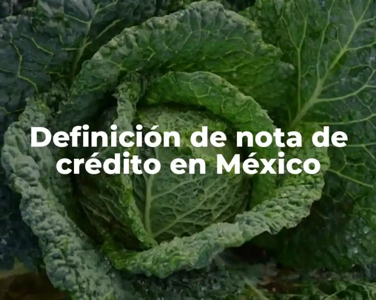 Definición de nota de crédito en México