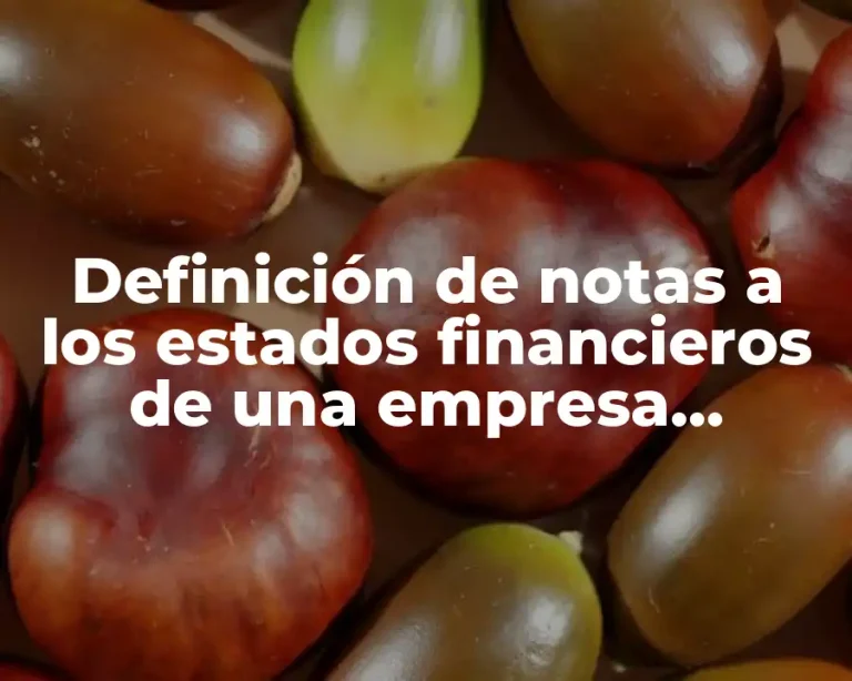 Definición de notas a los estados financieros de una empresa pequeña