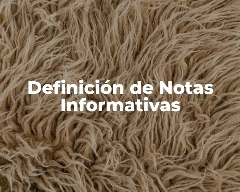 Definición de Notas Informativas