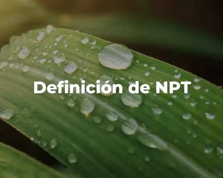 Definición de NPT