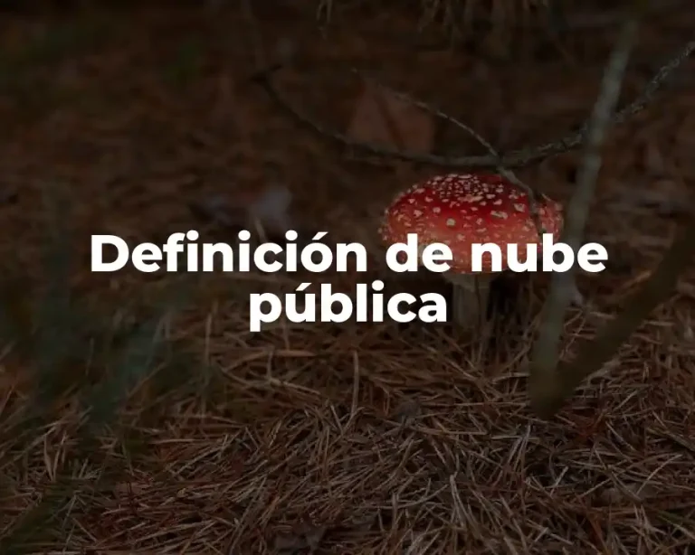 Definición de nube pública