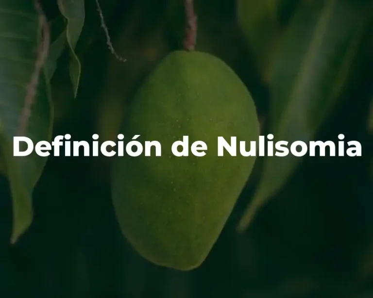Definición de Nulisomia