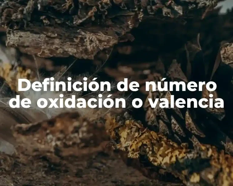 Definición de número de oxidación o valencia
