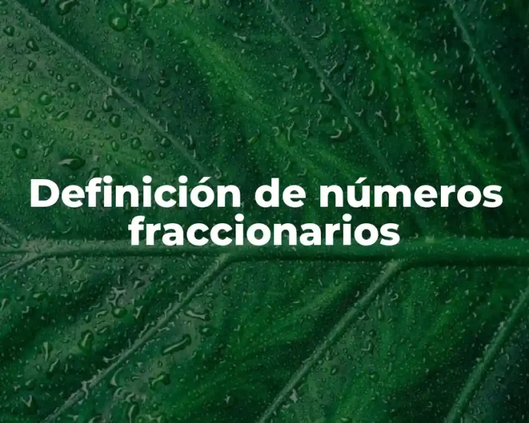 Definición de números fraccionarios
