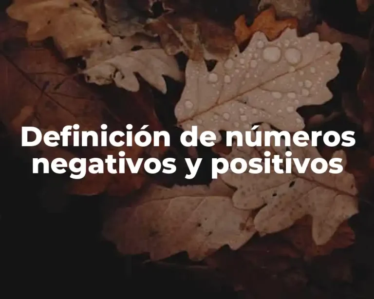 Definición de números negativos y positivos