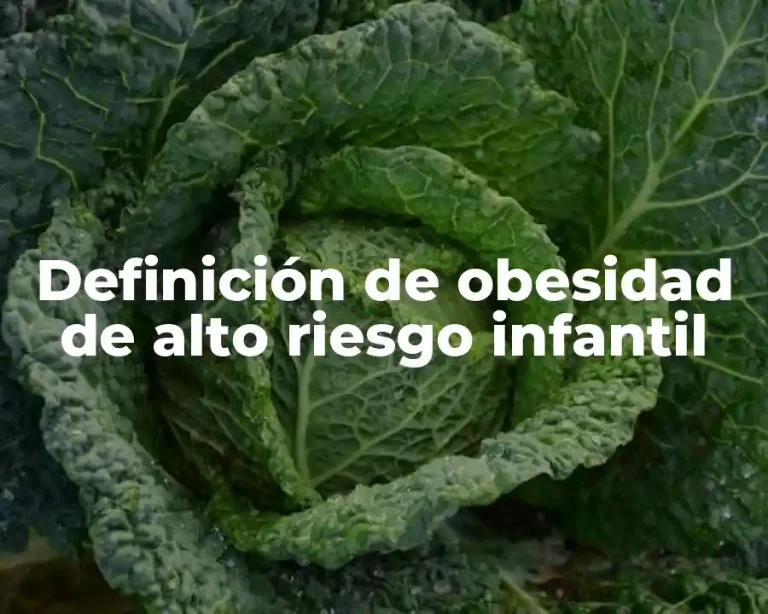 Definición de obesidad de alto riesgo infantil