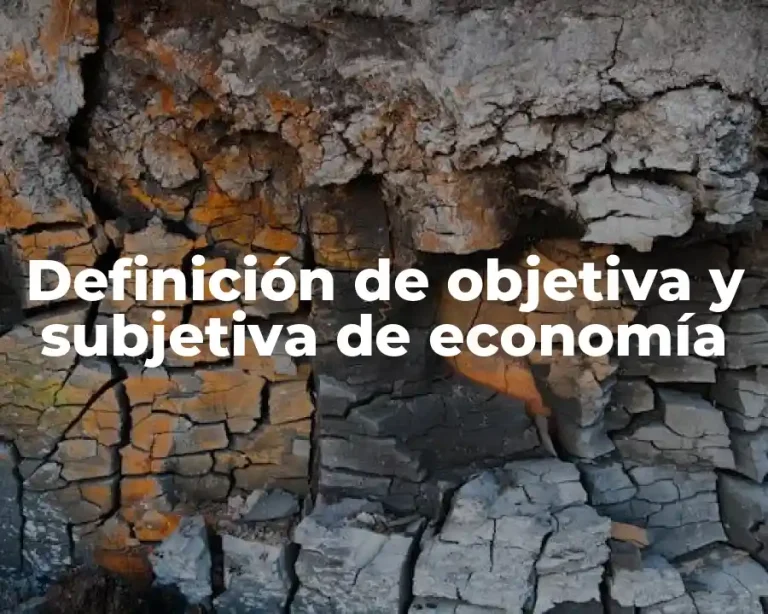 Definición de objetiva y subjetiva de economía