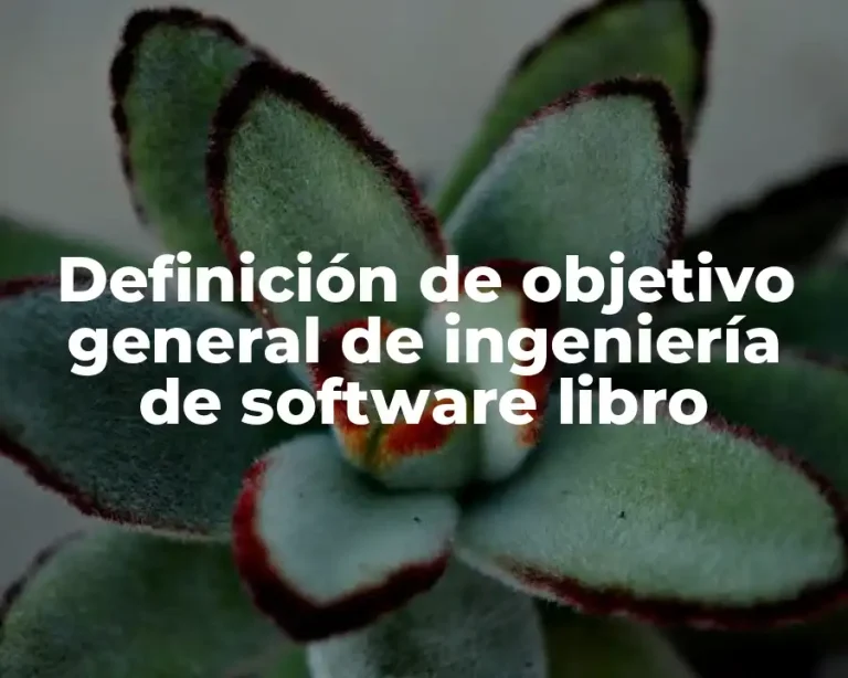 Definición de objetivo general de ingeniería de software libro