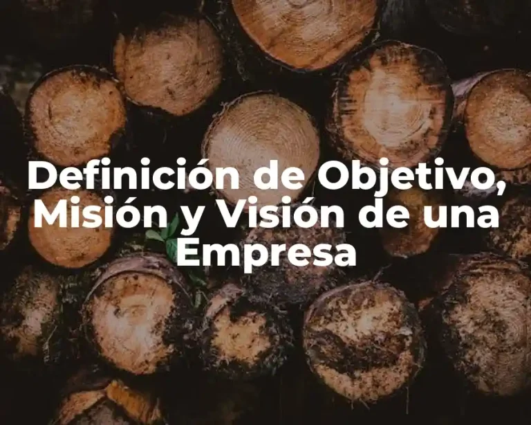 Definición de Objetivo, Misión y Visión de una Empresa