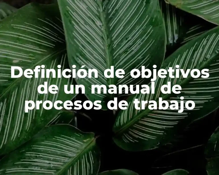 Definición de objetivos de un manual de procesos de trabajo