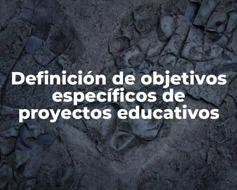 Definición de objetivos específicos de proyectos educativos