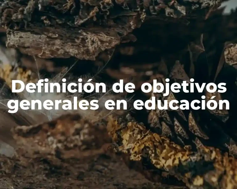 Definición de objetivos generales en educación
